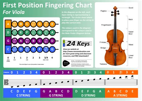 how to read viola sheet music and why it's crucial to understand the nuances of musical expression